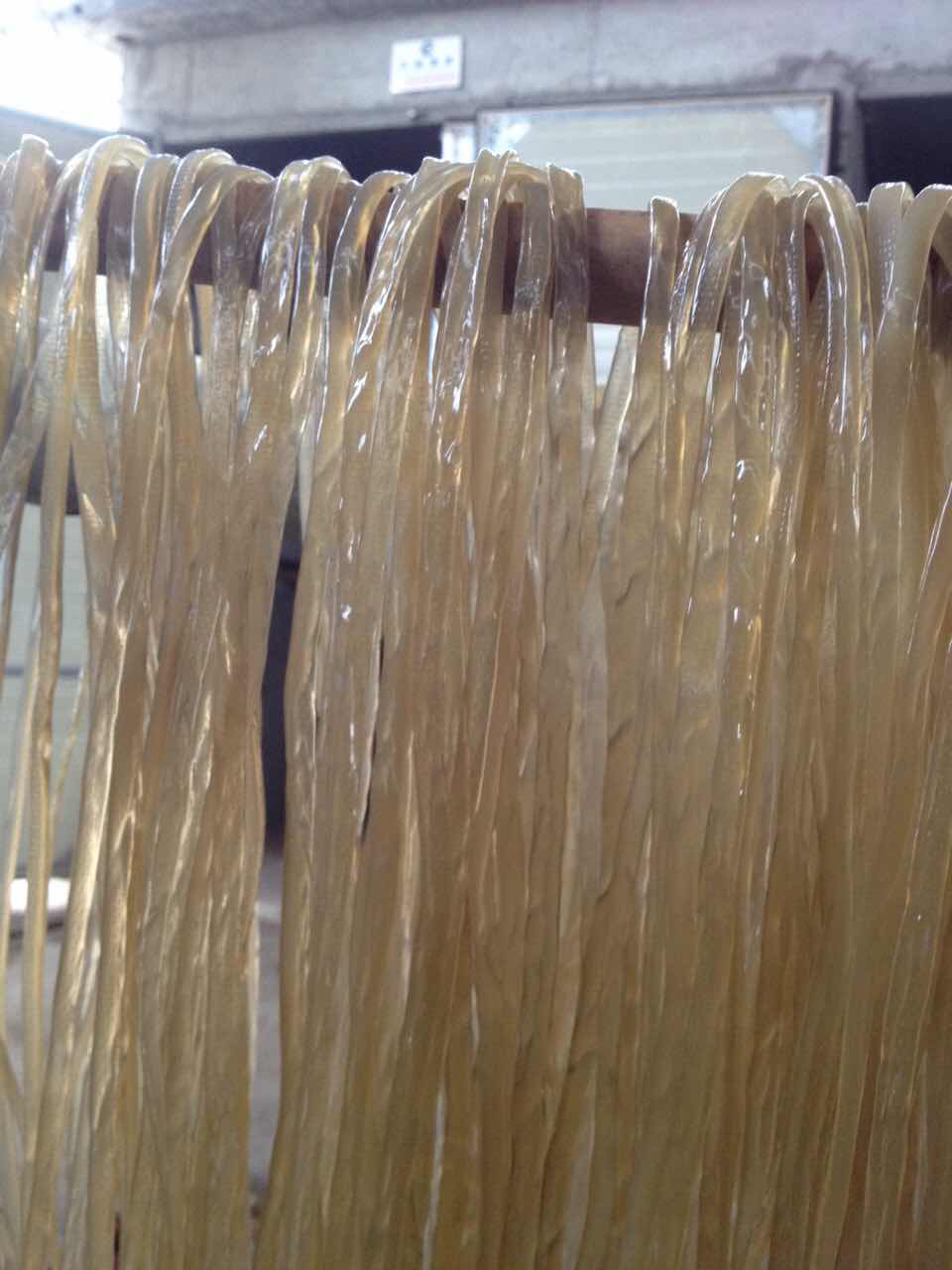 擠出式粉條機(jī)產(chǎn)品